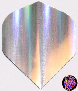 Metallic 2D Flight Standard - Silber
